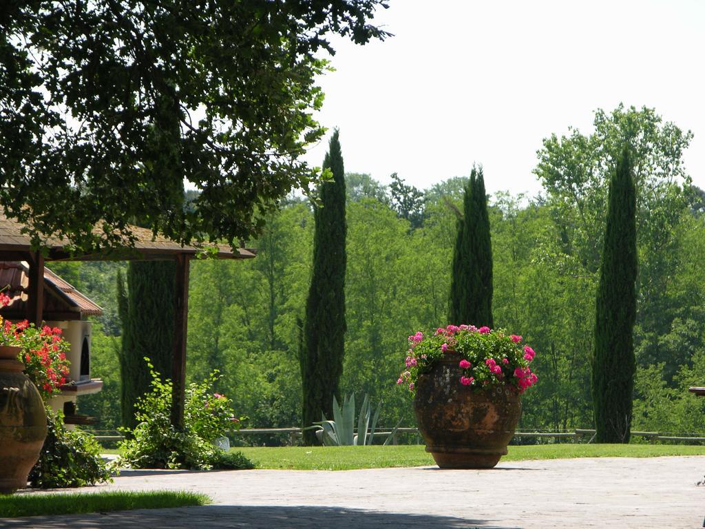Podere Il Giurato Fauglia Экстерьер фото