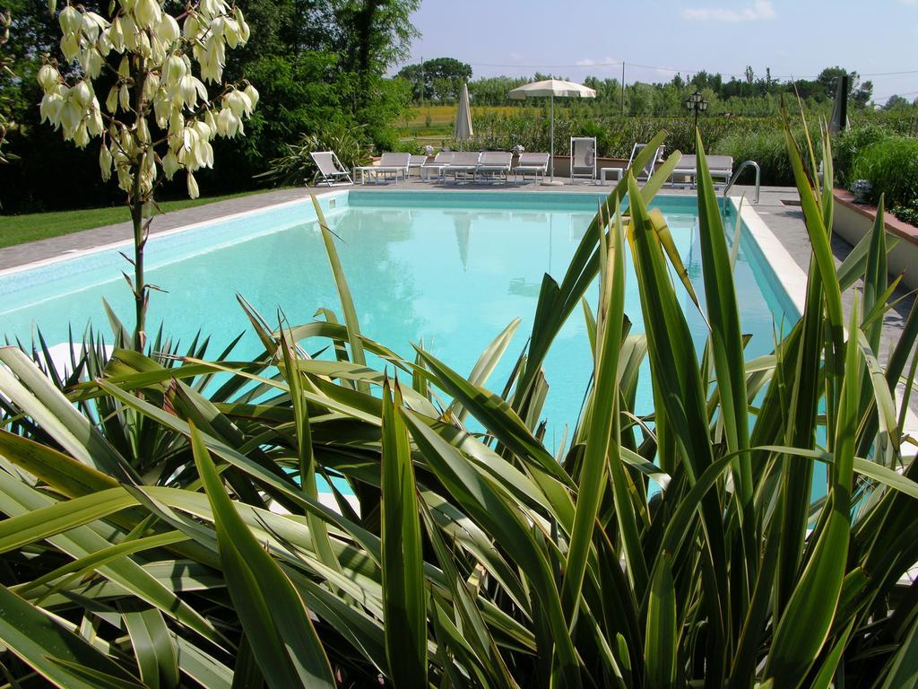 Podere Il Giurato Fauglia Экстерьер фото
