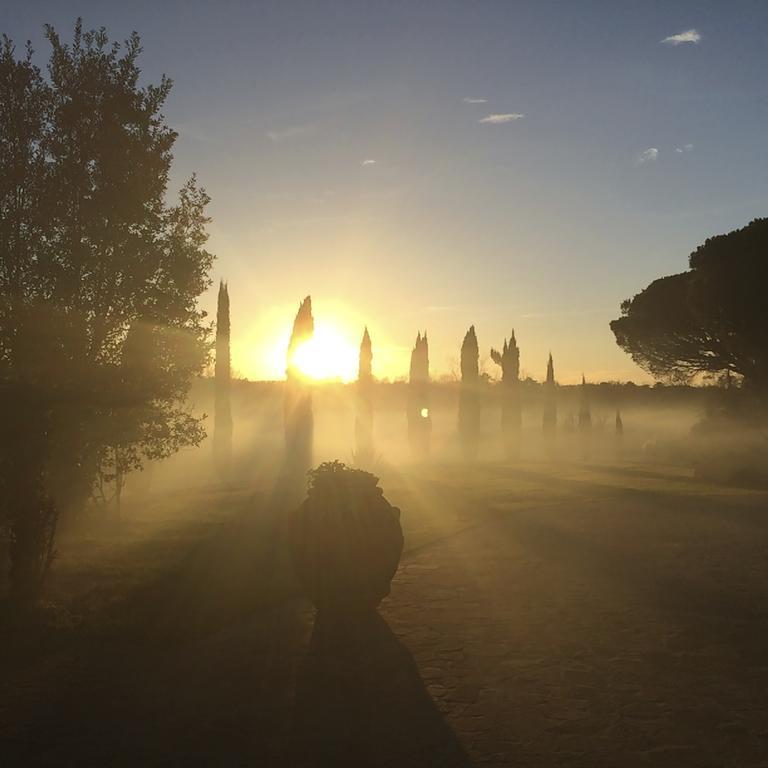 Podere Il Giurato Fauglia Экстерьер фото